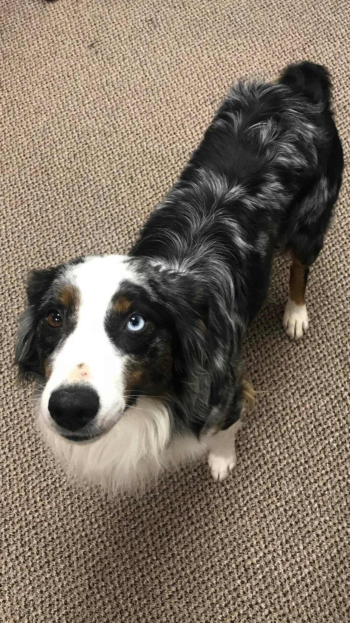 Brinkley
